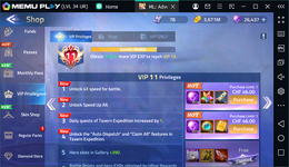 2025-01-11 15_38_44-(LVL 34 UR).png