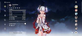 Screenshot_Wuthering Waves_20241228_020424.jpg