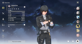 RovHavoc_Stats.png