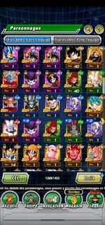 Screenshot_20250122_162438_Dokkan.jpg