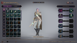 Weapon Skin.png