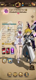 Screenshot_20250123_193618_7DS.jpg
