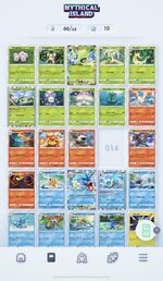 IMG_2135.jpeg