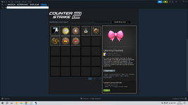 cs2.png