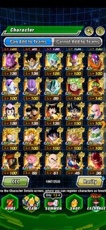 Screenshot_20250131_154822_Dokkan.jpg