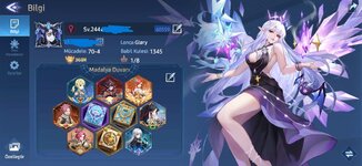mlat (4).jpg