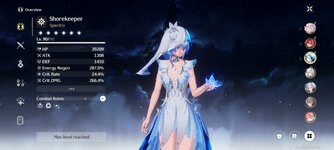 Screenshot_2025-02-04-21-58-55-920_com.kurogame.wutheringwaves.global.jpg