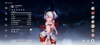 Screenshot_2025-02-04-21-59-03-929_com.kurogame.wutheringwaves.global.jpg