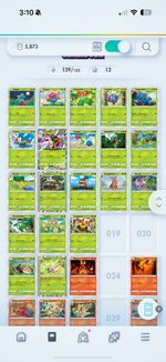 IMG_2785.png