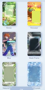 display boards1.jpg