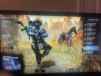 IMG_2655.jpeg