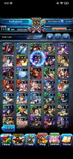 Screenshot_2025-02-17-18-01-27-232_jp.goodsmile.grandsummonersglobal_android.jpg
