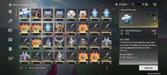 Screenshot_2025-02-23-10-29-38-823_com.kurogame.wutheringwaves.global.jpg