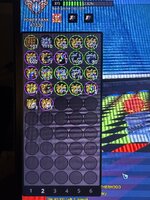 IMG_3916.jpeg