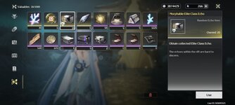 Screenshot_2025-02-25-21-51-37-523_com.kurogame.wutheringwaves.global.jpg