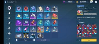 Screenshot_20250227_230353_Solo LevelingArise.jpg