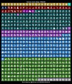 5341591946784795262.jpg
