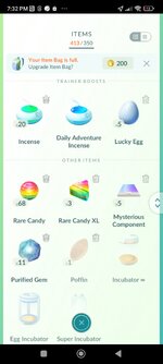 Screenshot_2024-11-23-19-32-59-076_com.nianticlabs.pokemongo.jpg