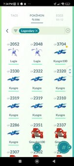 Screenshot_2024-11-23-19-34-04-500_com.nianticlabs.pokemongo.jpg