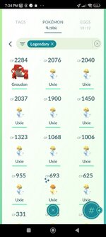 Screenshot_2024-11-23-19-34-08-261_com.nianticlabs.pokemongo.jpg