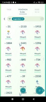 Screenshot_2024-11-23-19-34-13-333_com.nianticlabs.pokemongo.jpg