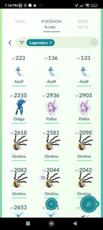 Screenshot_2024-11-23-19-34-24-832_com.nianticlabs.pokemongo.jpg