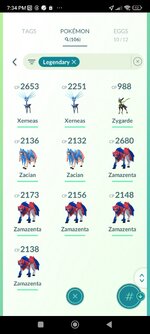 Screenshot_2024-11-23-19-34-29-141_com.nianticlabs.pokemongo.jpg