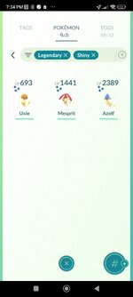 Screenshot_2024-11-23-19-34-33-575_com.nianticlabs.pokemongo.jpg