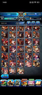 Screenshot_2025-03-04-14-03-34-956_jp.goodsmile.grandsummonersglobal_android.jpg