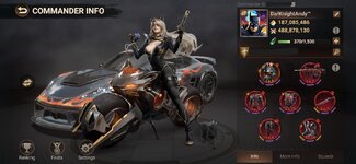 Profile PAGE01.JPG