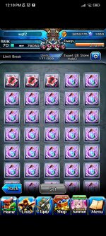 Screenshot_2025-03-06-12-10-10-872_jp.goodsmile.grandsummonersglobal_android.jpg