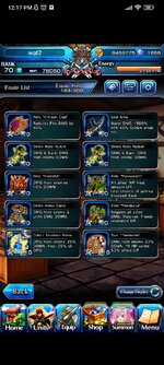 Screenshot_2025-03-06-12-17-31-103_jp.goodsmile.grandsummonersglobal_android.jpg