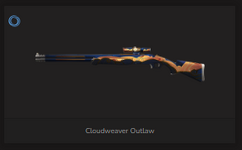 Outlaw Skin.PNG