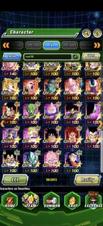 Screenshot_20250307_095252_com_bandainamcogames_dbzdokkanww_AppActivity.jpg