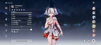 Screenshot_20250307_203228_com.kurogame.wutheringwaves.global.jpg