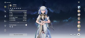 Screenshot_20250307_203243_com.kurogame.wutheringwaves.global.jpg