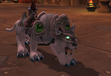 cat.PNG