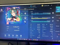 IMG_3147.jpeg