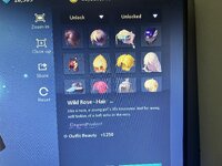 IMG_3161.jpeg
