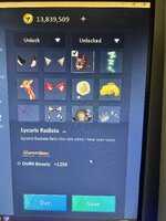 IMG_3166.jpeg