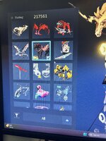 IMG_3169.jpeg