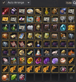 BDO STORAGE 1.png