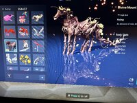 IMG_3197.jpeg