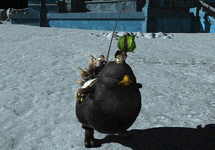 monto.GIF