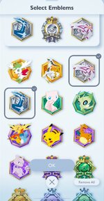 emblems and acesories (2).jpeg