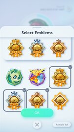badge.jpg