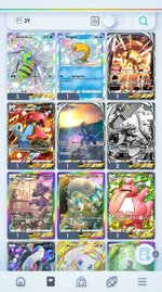 3 - 29x SSR.jpg