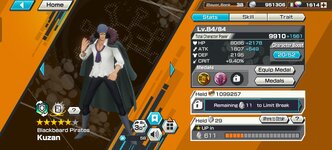 Screenshot_20250331_192230_com_bandainamcoent_opbrww_SgnfwUnityActivity.jpg
