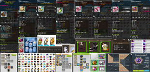 ds.png