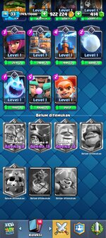 Screenshot_2025-04-01-17-42-45-036_com.supercell.clashroyale.jpg